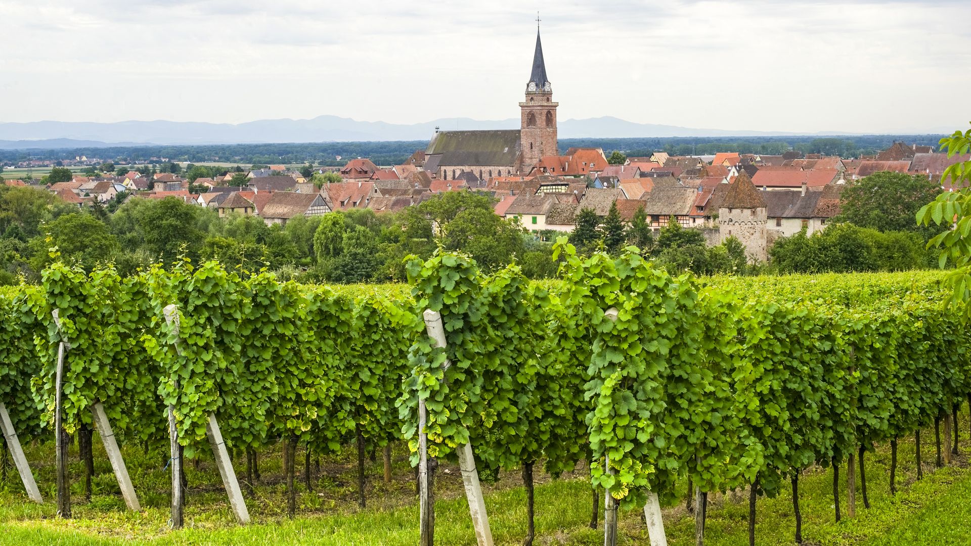 Auslandsfinanzierung Frankreich