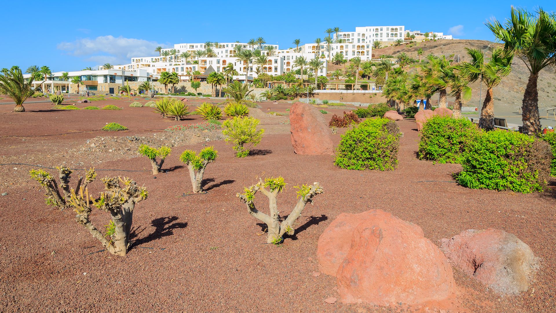 Auslandsfinanzierung